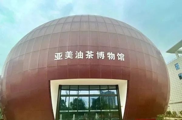 全国最大油茶果型油茶博物馆在湖南攸县开馆